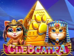 tigre do pix